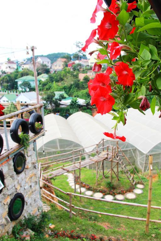 Hobbit Village Đà Lạt Ngoại thất bức ảnh
